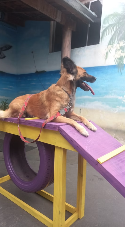 Agility