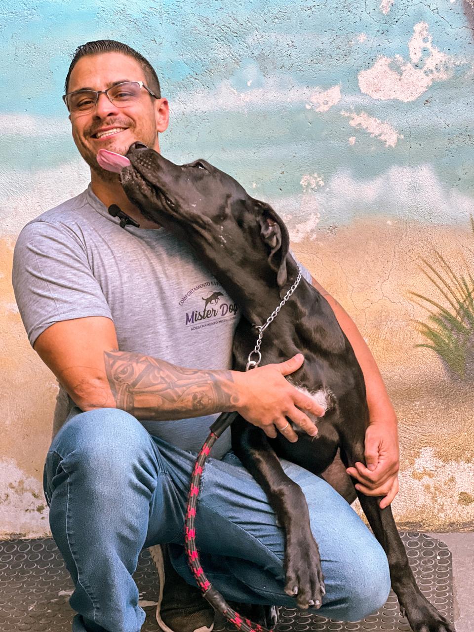 Mister Dog